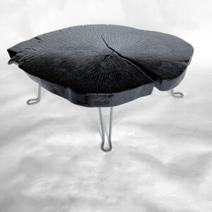 Wohnzimmertisch - Buche flambiert | WT-06